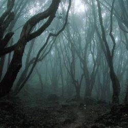 Menguak misteri sebuah desa bagian 1