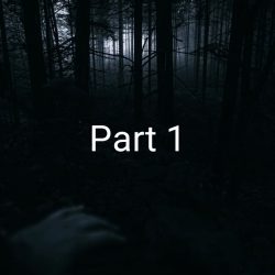 Berkemah Di Dalam Hutan (Part 1)