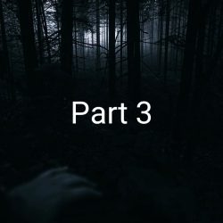 Berkemah Didalam Hutan (Part 3)