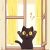Kucing Hitam yang Tidak Percaya Diri