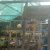 SMP Negeri 1 Watansoppeng Greenhouse